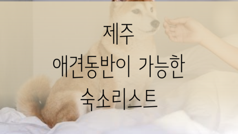 [#제주도 #애견동반] 제주도에서 애견동반이 가능한 숙소